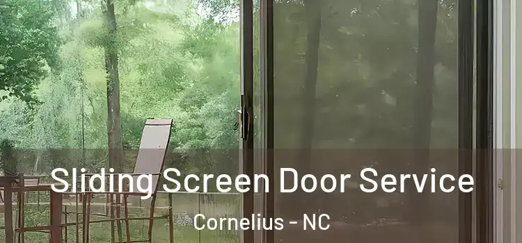 Sliding Screen Door Service Cornelius - NC
